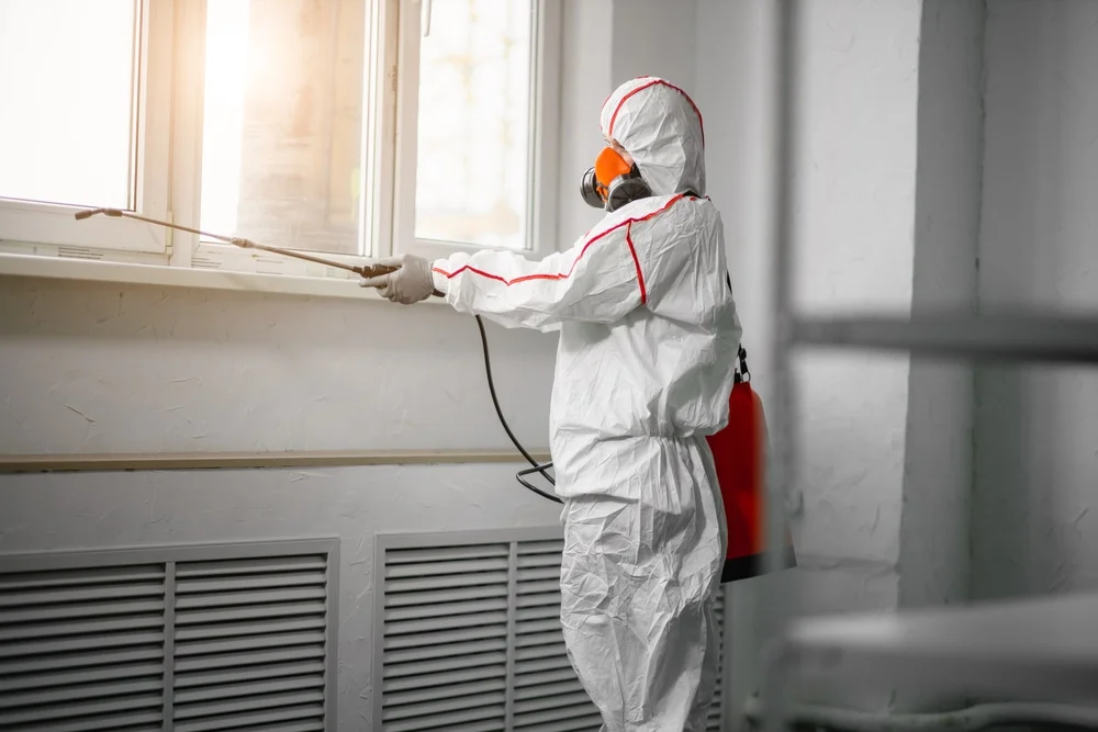 Professional mold remediation services in Ashtabula, OH